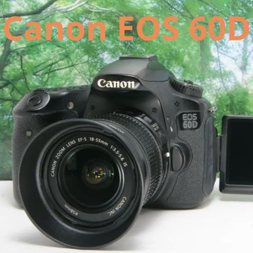 Canon eos 60d - con, molti