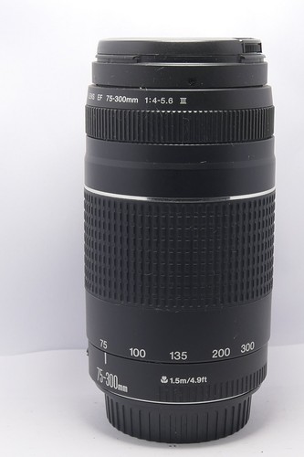 Obiettivo canon 300mm mk - 75-300mm,